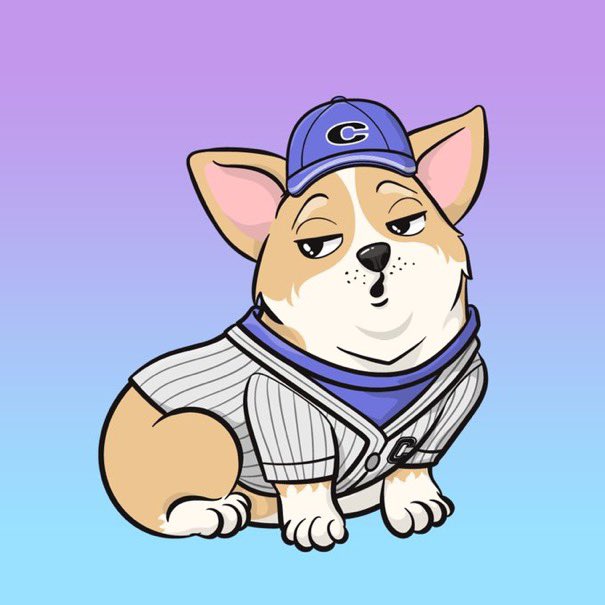 ApprovingDad's tweet photo. @approvingcorgis LFG !! https://t.co/da01CBdWyo