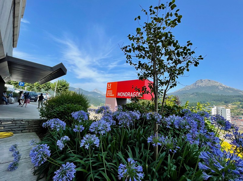 Platform Cooperatives "Made in Mondragón"? 

by <a href="/PCC_Global/">Platform Cooperativism Consortium - Global</a> fellow <a href="/sain_MTA/">Sain Lopez</a>
platform.coop/blog/platform-…

<a href="/MondragonTA/">Mondragon Team Academy</a> <a href="/euMONDRAGON/">MONDRAGON</a> <a href="/MUnibertsitatea/">Mondragon Unibertsitatea</a> <a href="/lbeloki/">Lander Beloki</a> <a href="/alizartza_MTA/">Aitor Lizartza</a> <a href="/Lanki_MU/">Kooperatibismoaren Ikertegia</a> <a href="/euskadicoop/">EUSKADI-KOOPERATIBAK</a> @CsceEkgk <a href="/konfekoop/">Konfekoop</a> <a href="/Diesiseu/">Diesis Network</a> <a href="/TAZEBAEZ/">TAZEBAEZ</a> #platformcoop #mondragon