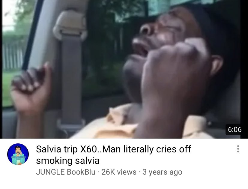 Bruhsepheus's tweet photo. Sharing a single blunt with 6 other dudes in a studio apartment all sitting on lawn chairs and watching these YouTube videos https://t.co/DuuwuMUlNE