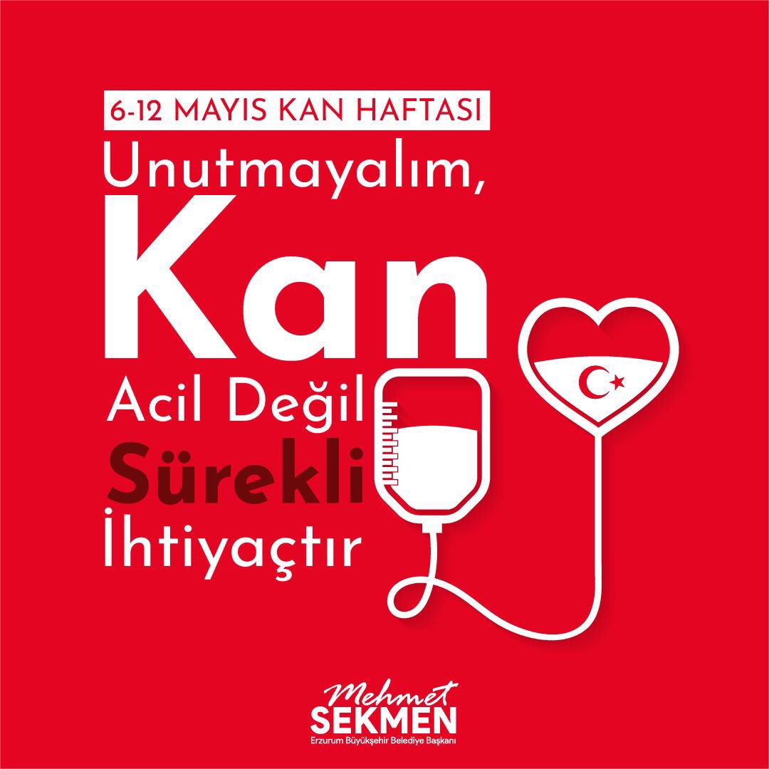 Mehmet Sekmen