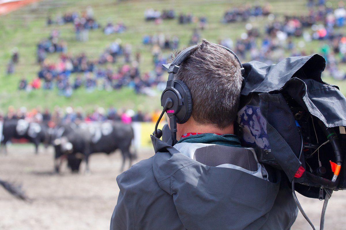 RadioTeleSuisse's tweet photo. 🐄👑🏔Qui sera sacré #reine ce dimanche à Aproz en #Valais? Suivez en direct la finale nationale de la race d’Hérens sur la @RadioTeleSuisse, @canal9 et @SRF présentée par @HusznoLea et @RomainBoisset

📆à 14h15 sur RTS 1, Canal 9 et SRF 2.

#ServicePublic #RTSAvecVous https://t.co/0gwrXKqPYh