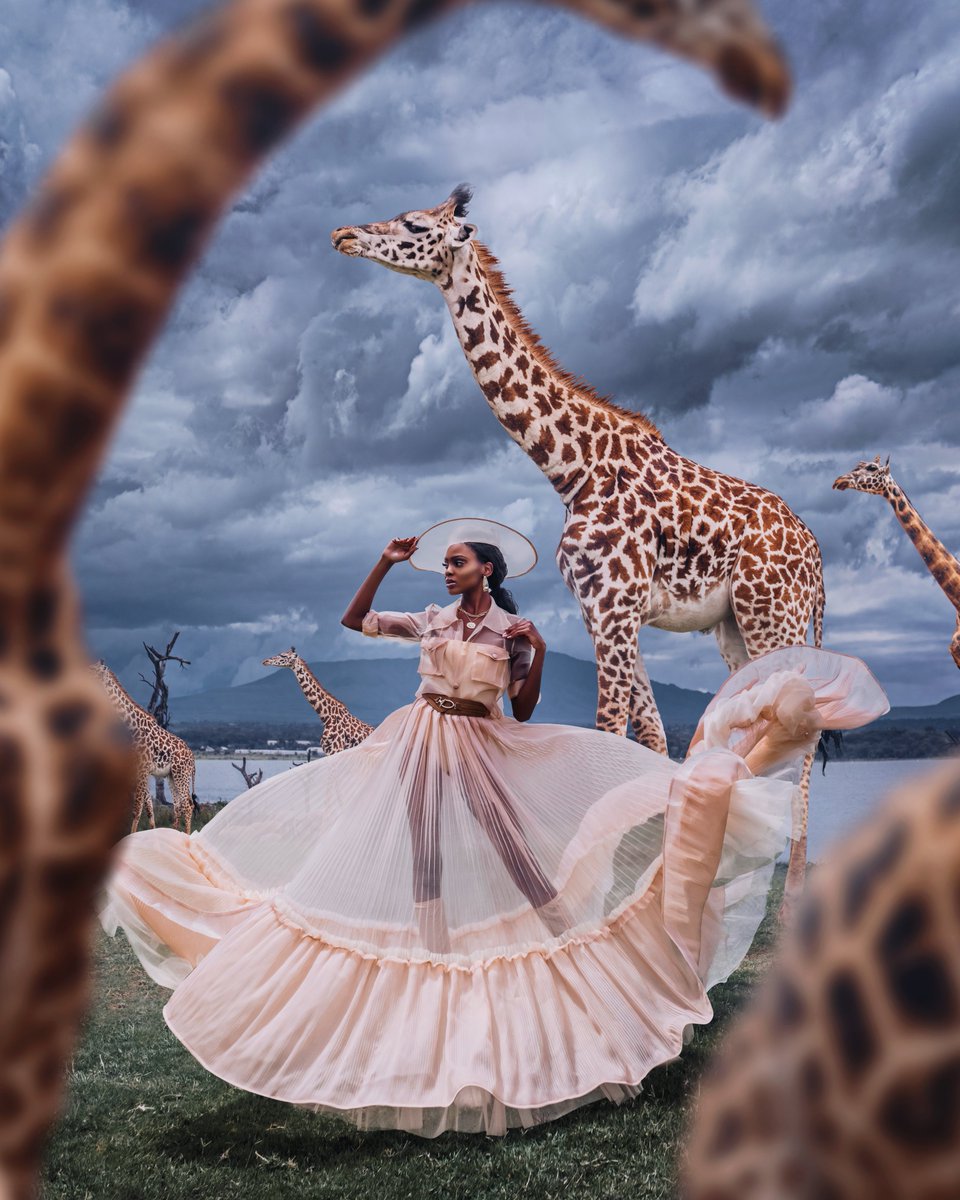 sloikaxyz's tweet photo. 🦒☀️ Gm from Kenya! 

Miss Kenya adventures by @hobopeeba on @sloikaxyz !

https://t.co/hxN572wiEx https://t.co/GHRsqVKK7F