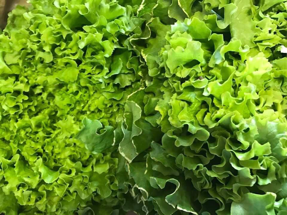 drivefermierlim's tweet photo. JOURNÉE PORTES OUVERTES DRIVE FERMIER CORREZE rdv à BRIVE cana 9 rue Jules BOUCHET ! #circuitscourts #ventedirecte #produitsfermiers #drivefermier https://t.co/M6y9mXa7mf