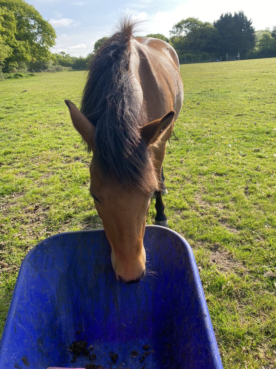 Best headache cure, before work after a night dancing with <a href="/iamNathanMoore/">Nathan Moore</a>