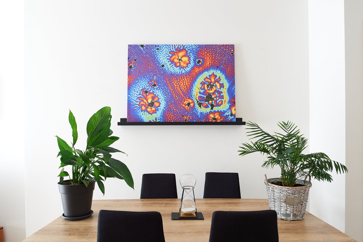 This is "Thermal Roses" a #HiddenReflectionsArt picture decorating a living room. #NFT available <a href="/opensea/">OpenSea</a> opensea.io/assets/0x495f9…
#OpenseaNFT