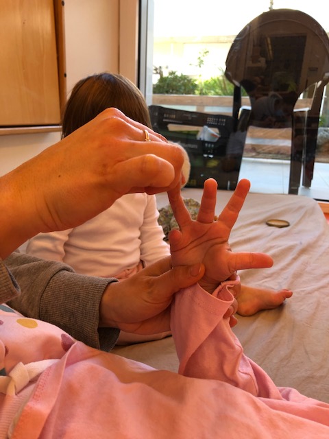 Cavall de Cartró Bressol tweet media