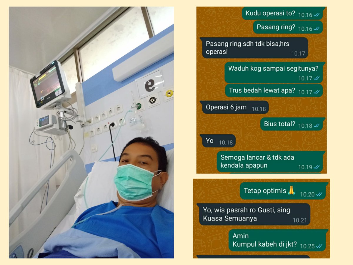 Bowo tweet media