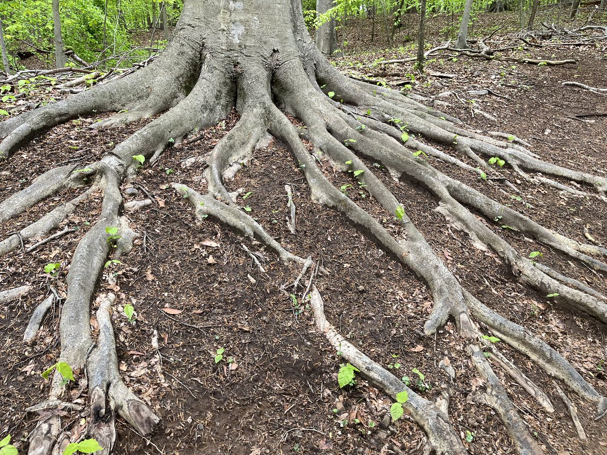 kristencusato's tweet image. Always good to get back to your…
#MayPatternChallenge