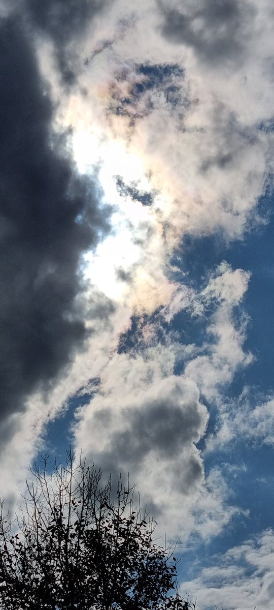 CherScheff's tweet photo. Weirdly wonderful clouds hiding the sun earlier in the week.
#Sydneyskies
#Mayclouds https://t.co/JmIbbgojvt