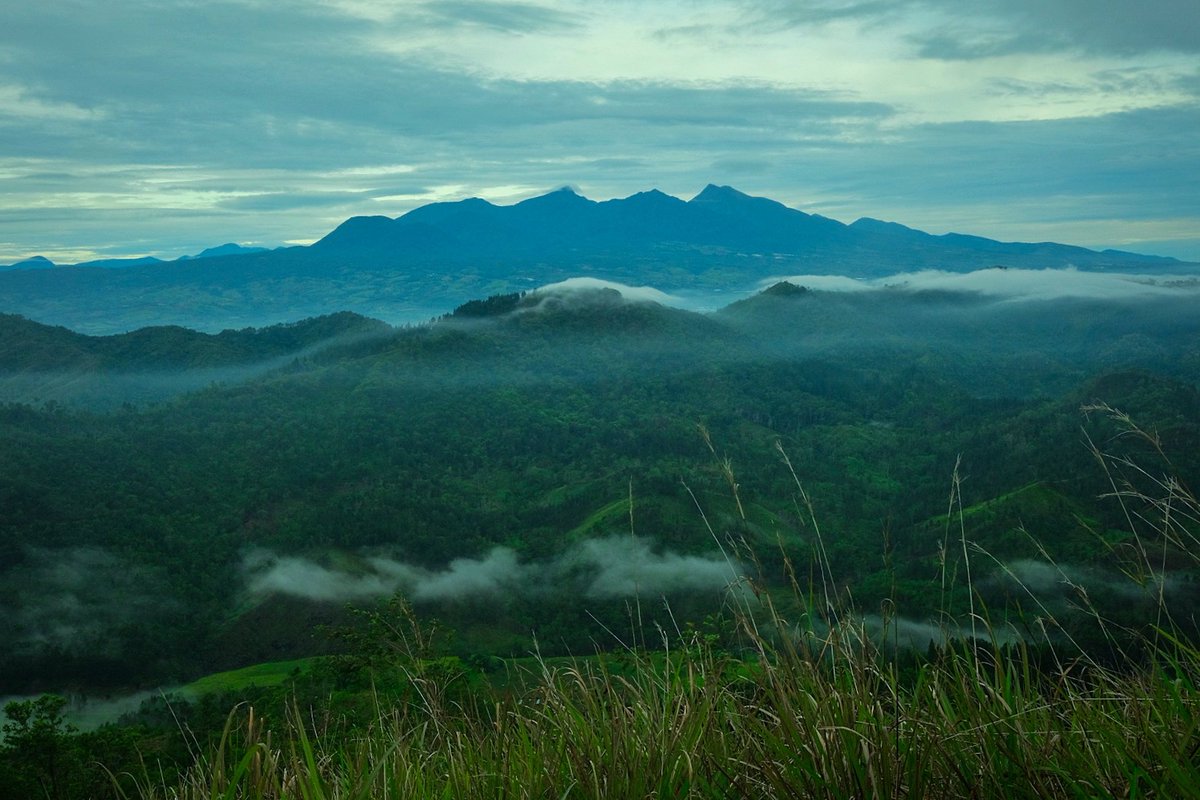 rgpinero_street's tweet photo. As life unfolds... My morning view after almost 2hrs of hiking. Have a great Friday friends!
Philippines 2022
#Photography #LandscapePhotography #Mountain #Hiking #HikePh #HikeYourHeartOut #NFTCommunity #NFTphotographers #NFTCollection #NFTPhotography #NFTartist #NFTTravel https://t.co/dxX7GqQJNF