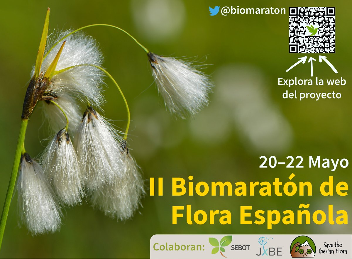 ¡Ya está anunciado el II Biomaratón de Flora Española en la web de <a href="/OficialSebot/">Sociedad Botánica Española</a> !

sebot.org/biomaraton-de-…