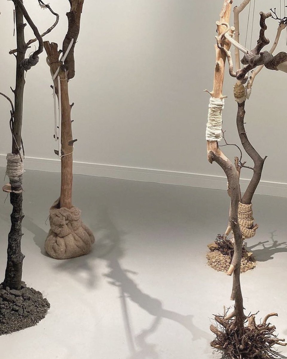 Hybridisation @kimnortondesign spatial installation @GroundworkKL 

FIELDWORK 

‘Humans have a symbiotic relationship with trees…. the symbolism of trees is quite literally rooted within our history, religions, folklore and culture.’

#trees #apple #wood #making #haptictacit