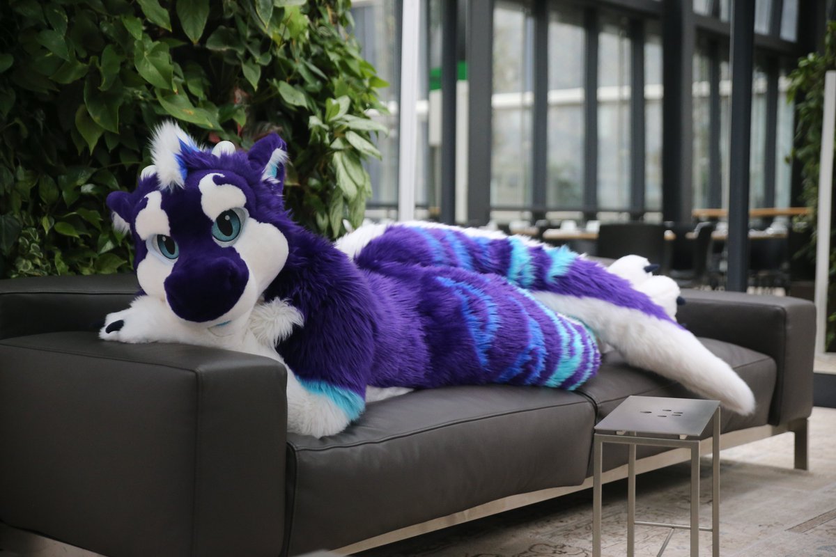 furjaxx's tweet photo. Haven't posted a #FursuitFriday in a while.
Enjoy some cuddly derg on the couch :3

✂️@Dragontailory
📸@DanTheDerg https://t.co/gwQLzEbWzz
