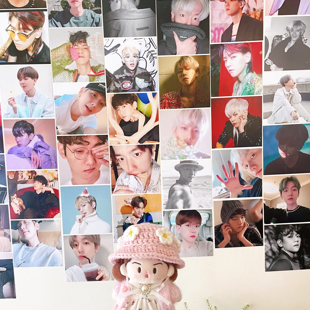 오뭉치🏠 tweet media
