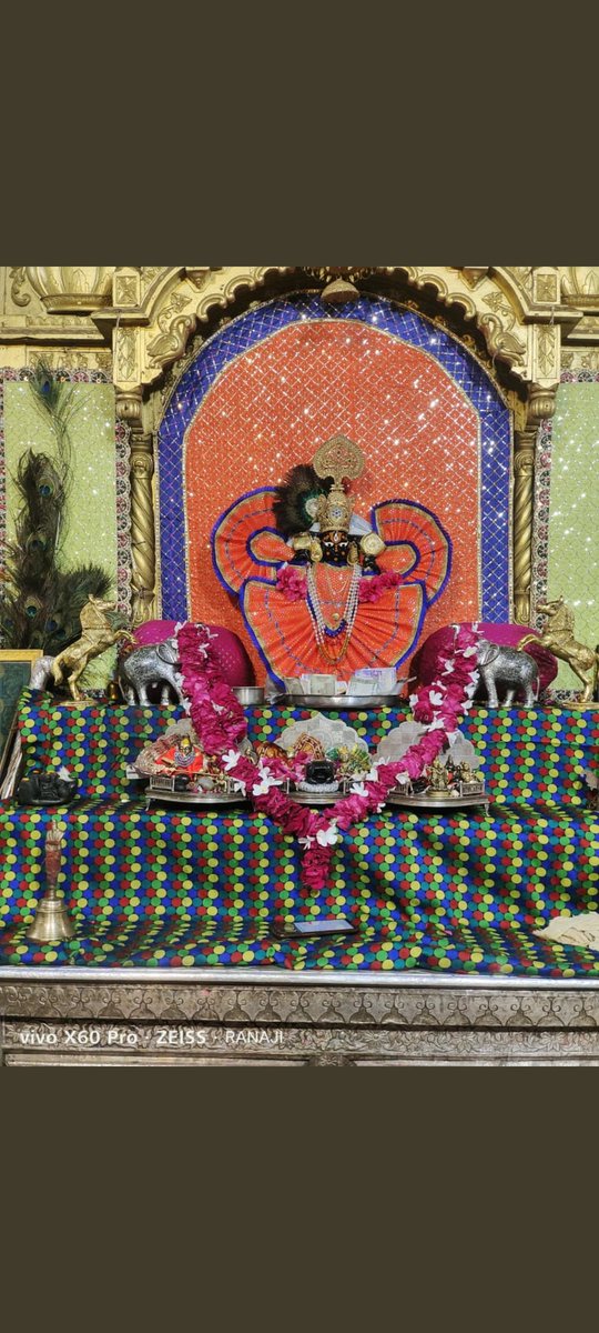 ji_setha's tweet photo. जय श्री सांवलिया सेठ जी आज के दर्शन 🙏🙏😍🥰🥰🥰🤗🤗🤗🤗 https://t.co/OieQQoik3X