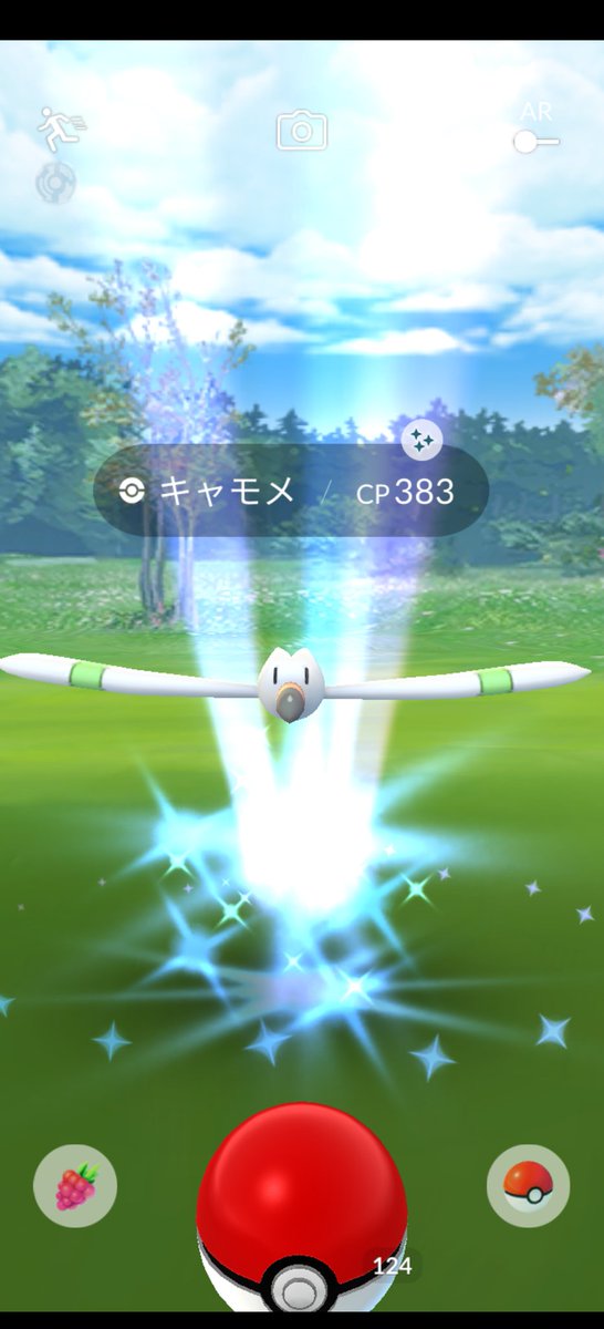 ポケモンgo キャモメの入手方法 能力 技まとめ 攻略大百科