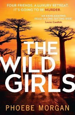 DarleneBookNook's tweet photo. #FridayReads Still reading: THE WILD GIRLS by Phoebe Morgan @Phoebe_A_Morgan @HQstories #FridayReads #SpringHorror #TheWildGirls I love the remote, isolated setting! Totally creepy vibe going on https://t.co/YdRnSLzALF