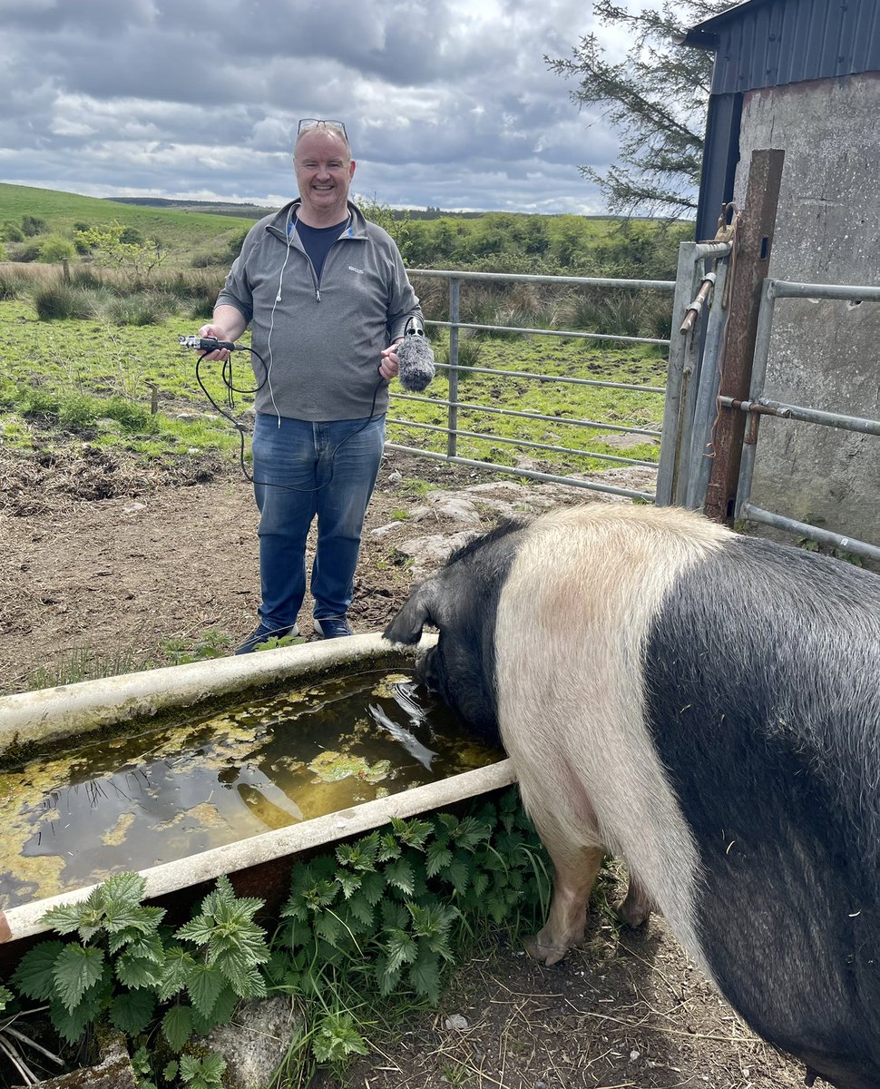 burren_glamping's tweet photo. @visitBurren In preparation for the festival @ClareFM #farmproduce #sustainablefarming https://t.co/0i0KzIXuaV