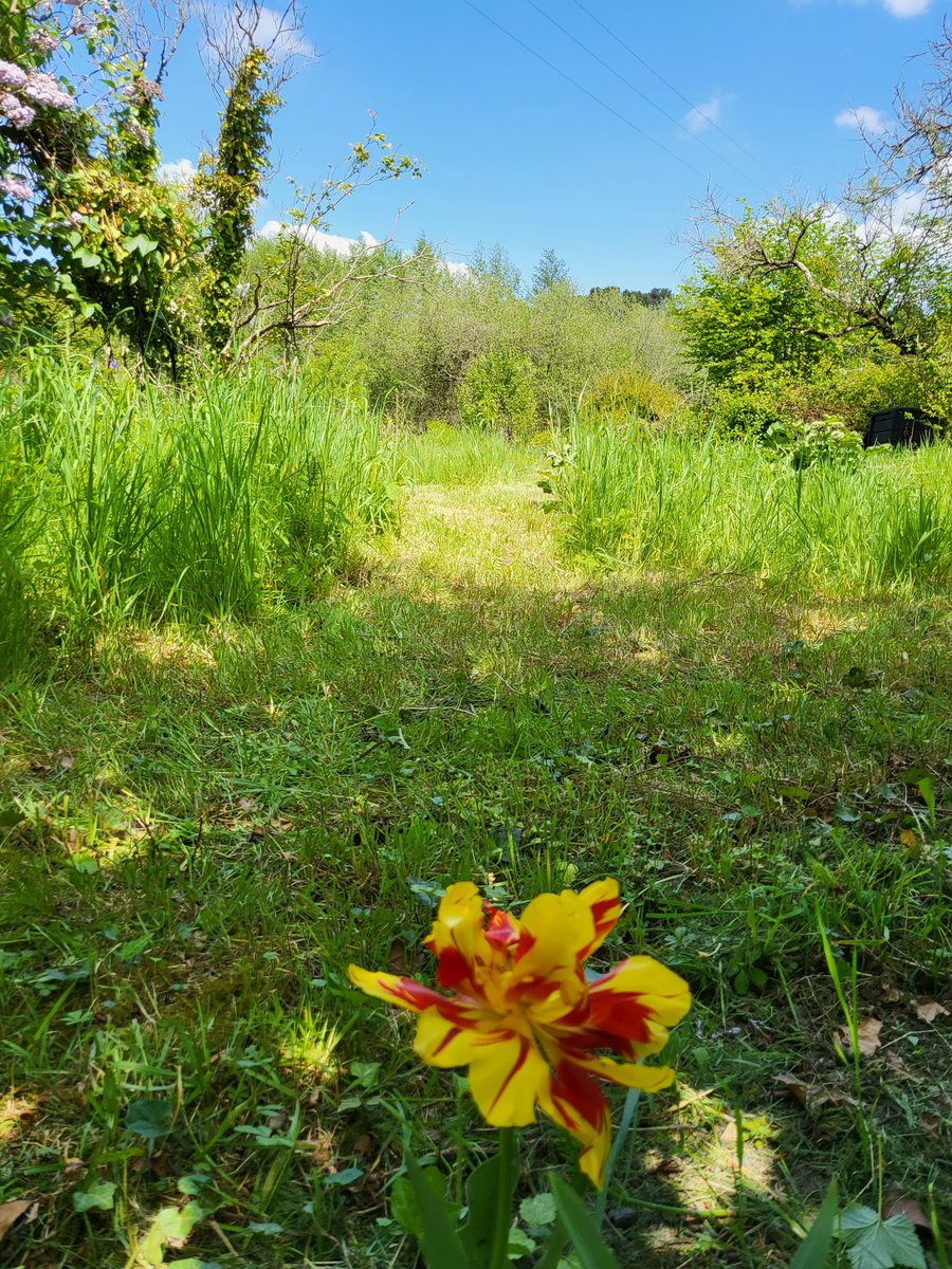 LAtypique_Anjou's tweet photo. On lance la nouvelle saison ! @LAtypique_Anjou sera ouvert ce samedi. Des jus et plein de nouvelles surprises, au cœur de la biodiversité, à Vaulandry @baugeenanjou 
#jaimelanjou https://t.co/jkJ85tA5A6