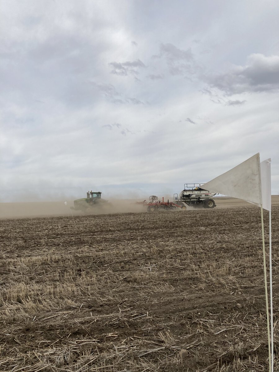 Susan Heather tweet media