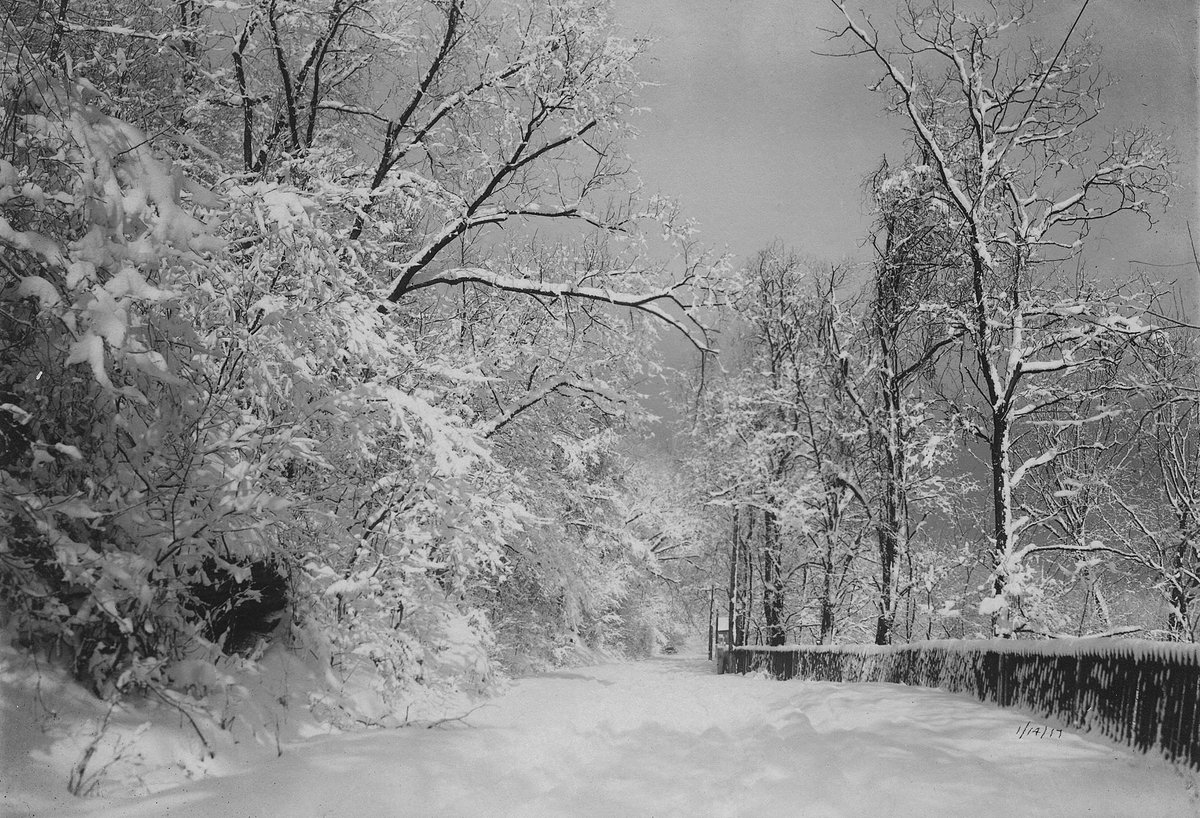 CapCityMuseum's tweet photo. We're in the thick of spring, but it's hard to forget how gorgeous all the trees around #Frankfort are in the winter! #ArchivesHashtagParty #ArchivesTrees https://t.co/cbe264m94r