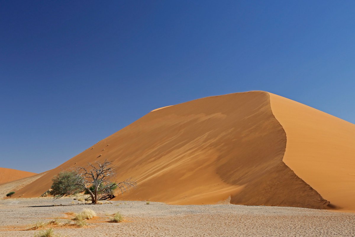 NamEmbassySwe's tweet photo. One of the most famous landmarks of Namibia is without a doubt the towering red sand dunes of Sossusvlei, located in the Hardap Region. The tallest dune reaches 325 meters and is aptly named ‘Big Daddy’. https://t.co/EWrqS7j4Cq