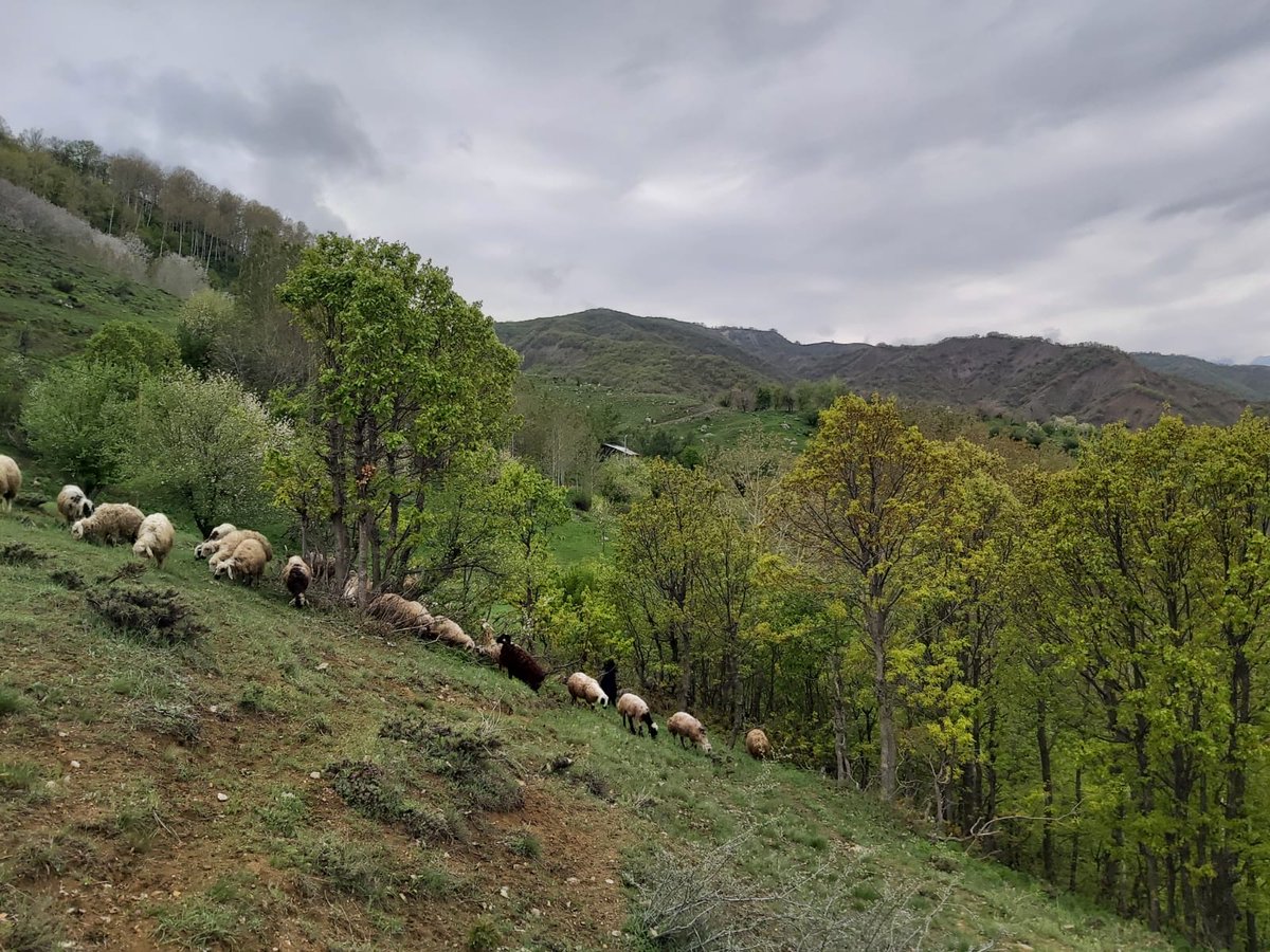 Dersim6221Deniz's tweet photo. Napıyonuz lo deuvrimciler:)
#Dersim #Xozat #Bezaut https://t.co/bkSTN5pedw
