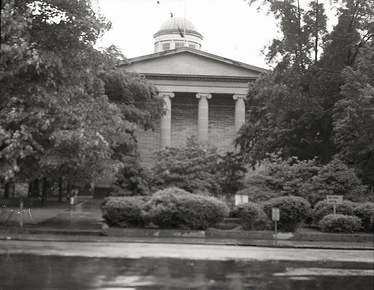 CapCityMuseum's tweet photo. The #ArchivesHashtagParty is all about those #ArchivesTrees ! Here are some of the gorgeous trees on the Old State Capitol lawn! https://t.co/OHCOY8D1HD