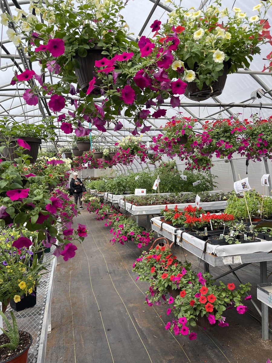 Hara Charlier (@clcprez) on Twitter photo Our <a href="/clcmnedu/">Central Lakes College</a> Horticulture students did a terrific job preparing for and running the spring plant sale! Come visit today! #springinMNisreal #CLCproud Our <a href="/clcmnedu/">Central Lakes College</a> Horticulture students did a terrific job preparing for and running the spring plant sale! Come visit today! #springinMNisreal #CLCproud