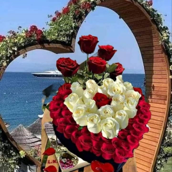 #صورة_ملف_شخصي_جديدة