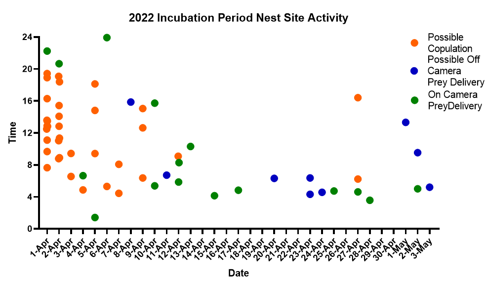 sjy1158's tweet photo. Hatch day finally came!! Here are some data I collected from the past month. Mainly about incubation and prey delivery. I watched a lot of replay, so its entirely possible that I missed sth. #Annie #Alden #Calfalcon https://t.co/CmmvBkSkdn