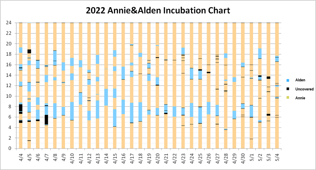 sjy1158's tweet photo. Hatch day finally came!! Here are some data I collected from the past month. Mainly about incubation and prey delivery. I watched a lot of replay, so its entirely possible that I missed sth. #Annie #Alden #Calfalcon https://t.co/CmmvBkSkdn