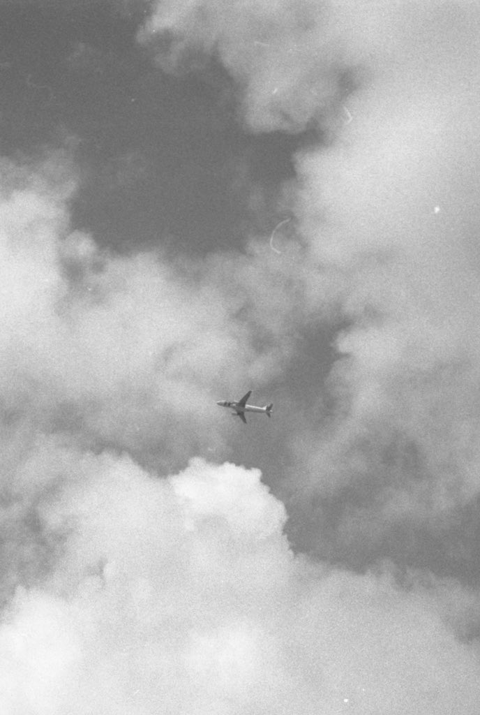 larauerc's tweet photo. @FlakPhoto Hi! I’m still pretty new to this twitter photography community but here are some of my favourites lately. One film and another digital. I’m currently in school! https://t.co/uGrzxOhA9V