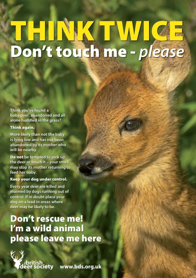 JJ (@hpxrsrjj) on Twitter photo 