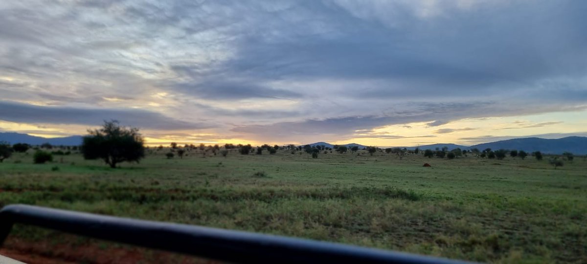 BontelSafaris's tweet photo. A blessed weekend ahead❤
#LetsGoAdventure #TembeaKenya #magicalkenya #KenyaKwetu #travel #Vacation #adventure https://t.co/uc51multx7