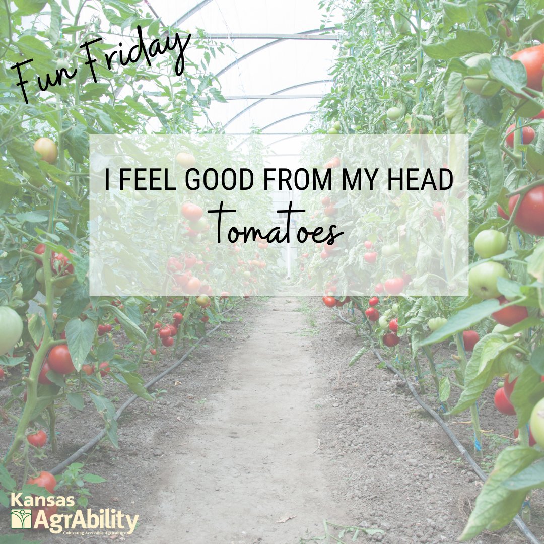 Kansas AgrAbility Project tweet media