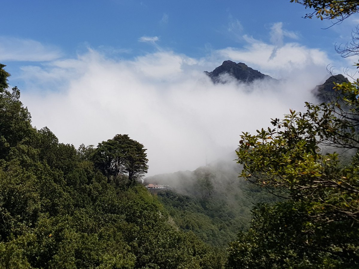 OurMadeira's tweet photo. Levada trekking at Encumeada, Madeira. #encumeada, #madeira, https://t.co/b3elEjmKHR