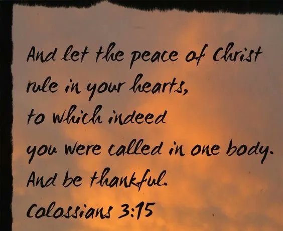 We all need peace in these crazy times. #peaceofGod #peace #God #faith #biblicalinspiration #amwriting #faithwriter #writinglife #writerslife #writingcommunity