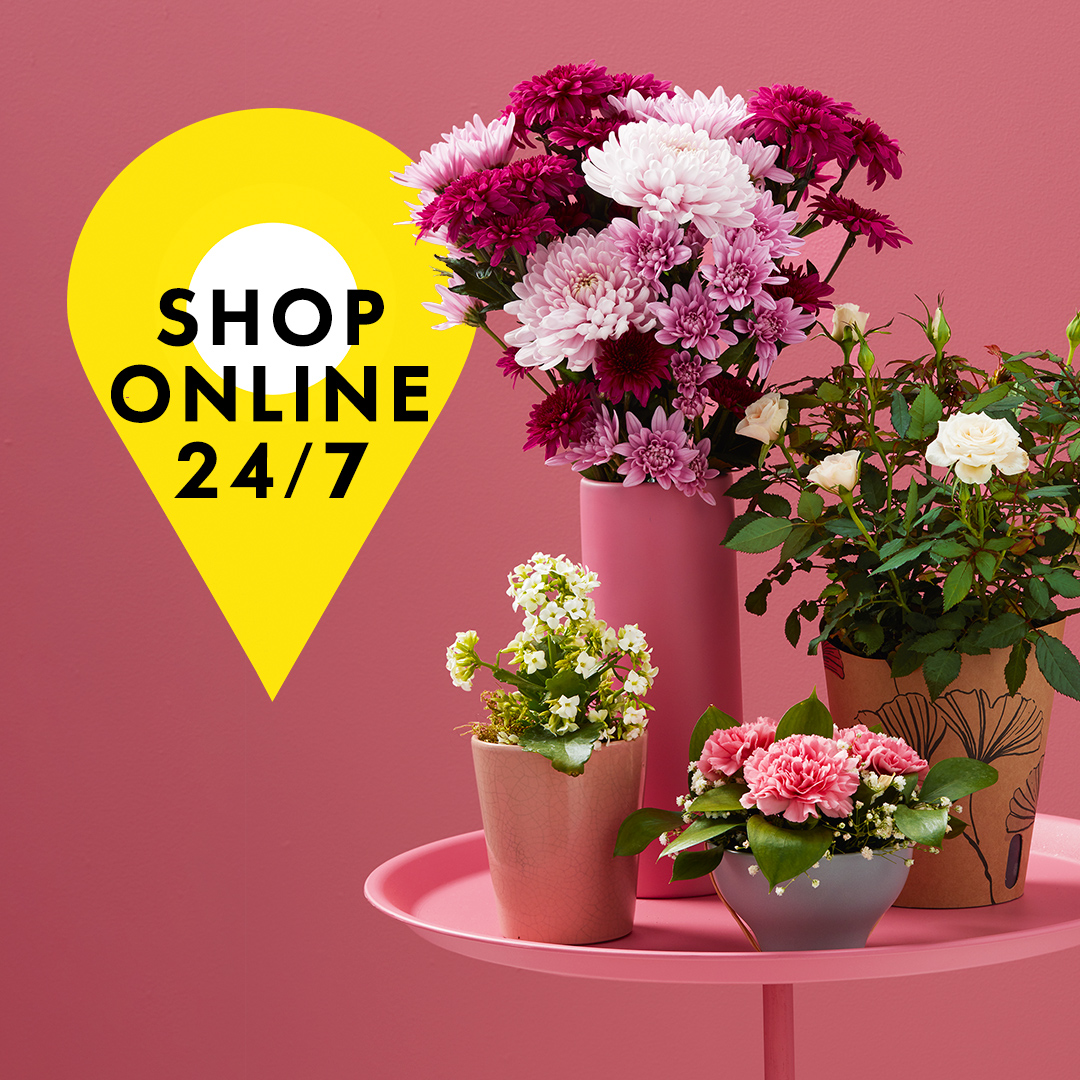 Woolworths SA on Twitter "Celebrate the Woman special to you! Shop