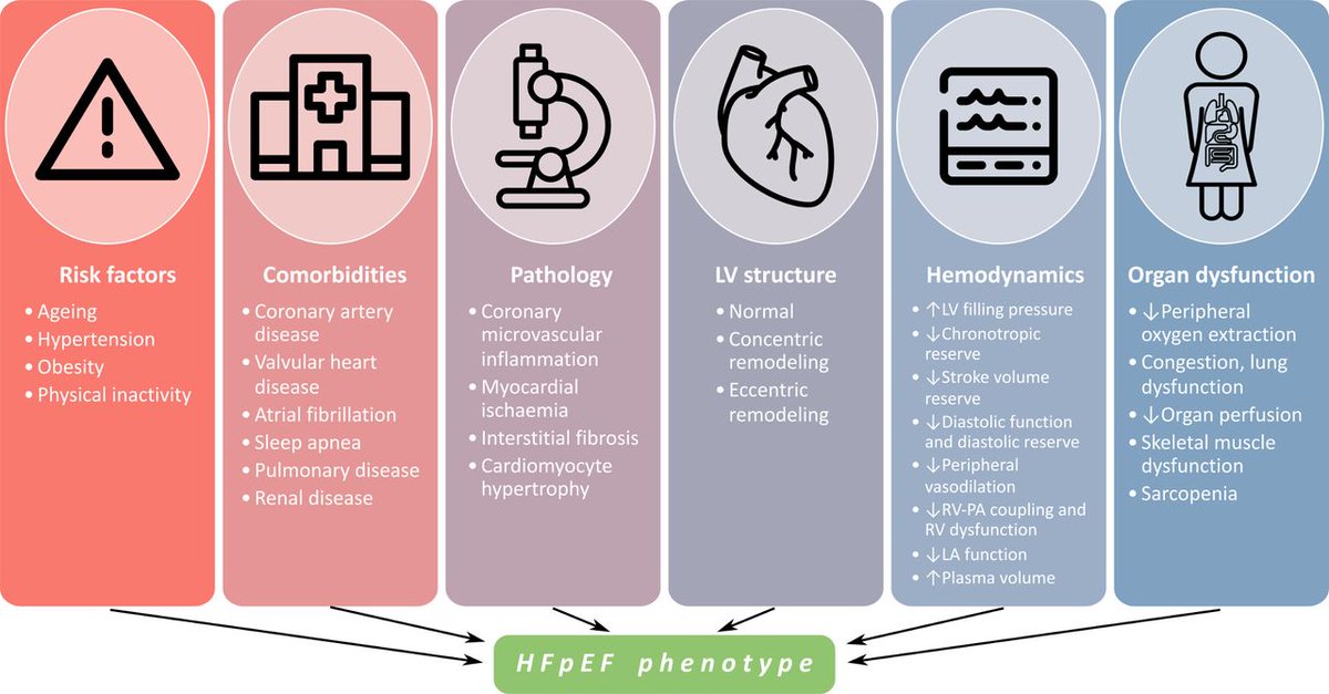 Heart_BMJ's tweet image. Heart failure with preserved ejection fraction: recent concepts in diagnosis, mechanisms and management bit.ly/3ozgb9z
