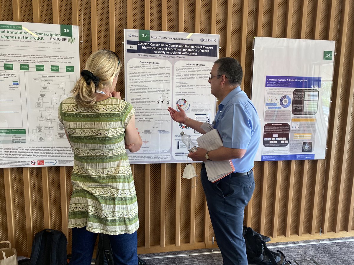 cosmic_sanger's tweet image. Mike Starkey is our expert curator for the Cancer Gene Census &amp;amp; Hallmarks of Cancer Gene Profiles. Each of the 729 genes listed are extensively researched for their role in cancer and categorised as Tier 1 (528) or Tier 2 (201). 

#oncogene #hallmarksofcancer #UKbiocuration2022