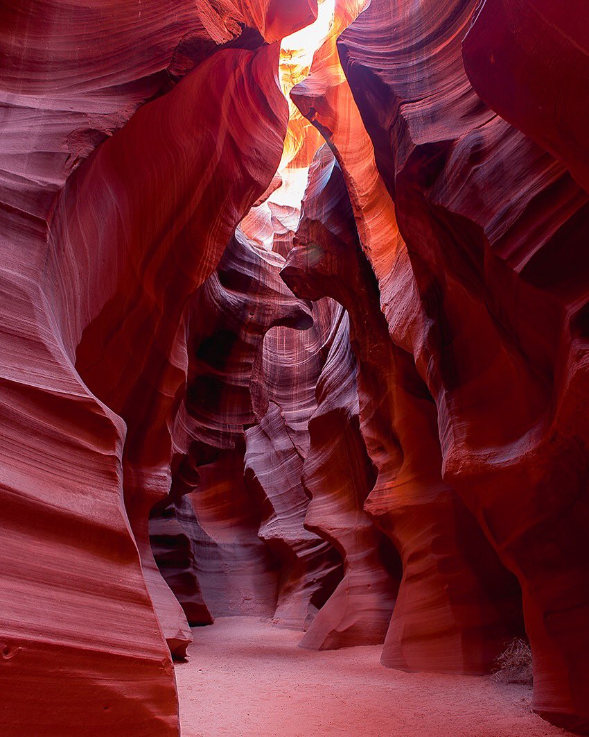 LADsociety1's tweet image. Fine Art photo Giveaway! discord.gg/vpTcThcE #DeppVsHeard #nft #NFTGiveaway #NFTCommunity #NFTdrop #nftart #nftcollector #Ukraine