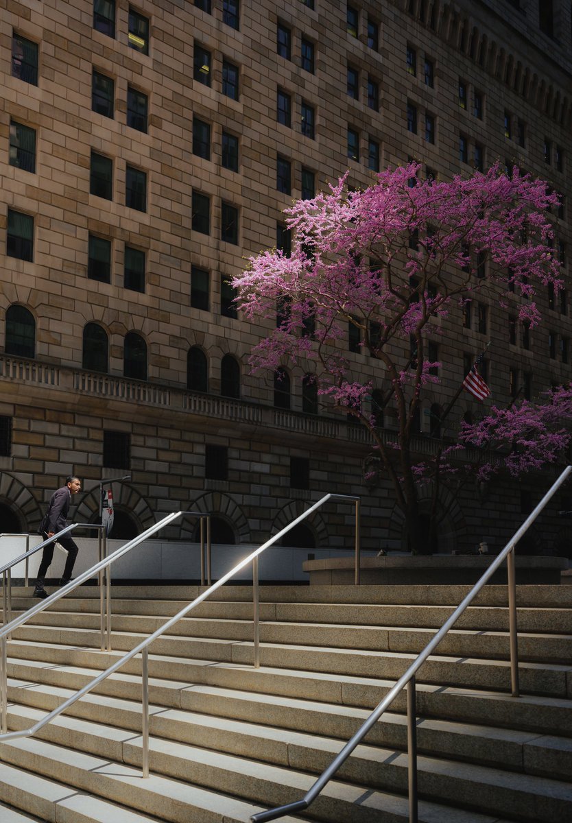 giltamin's tweet image. GM GM☕️ Here’s a capture from my latest visit to New York. I’ve always wanted to capture spring colours in the city. Let me know what you think!