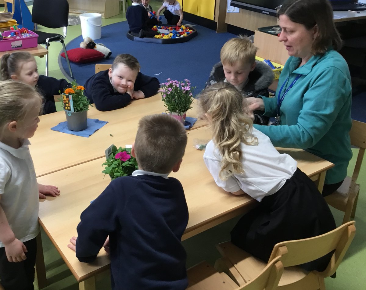 HafodyWern's tweet photo. Class 1 are enjoying our new topic 'Our Living World'.
We have been learning to name and label the different parts of a flower and found out about the special job of each part. #gardening #healthyconfidentindivuals #foundationphase #knowledgeandunderstanding https://t.co/9tv7vyR12w