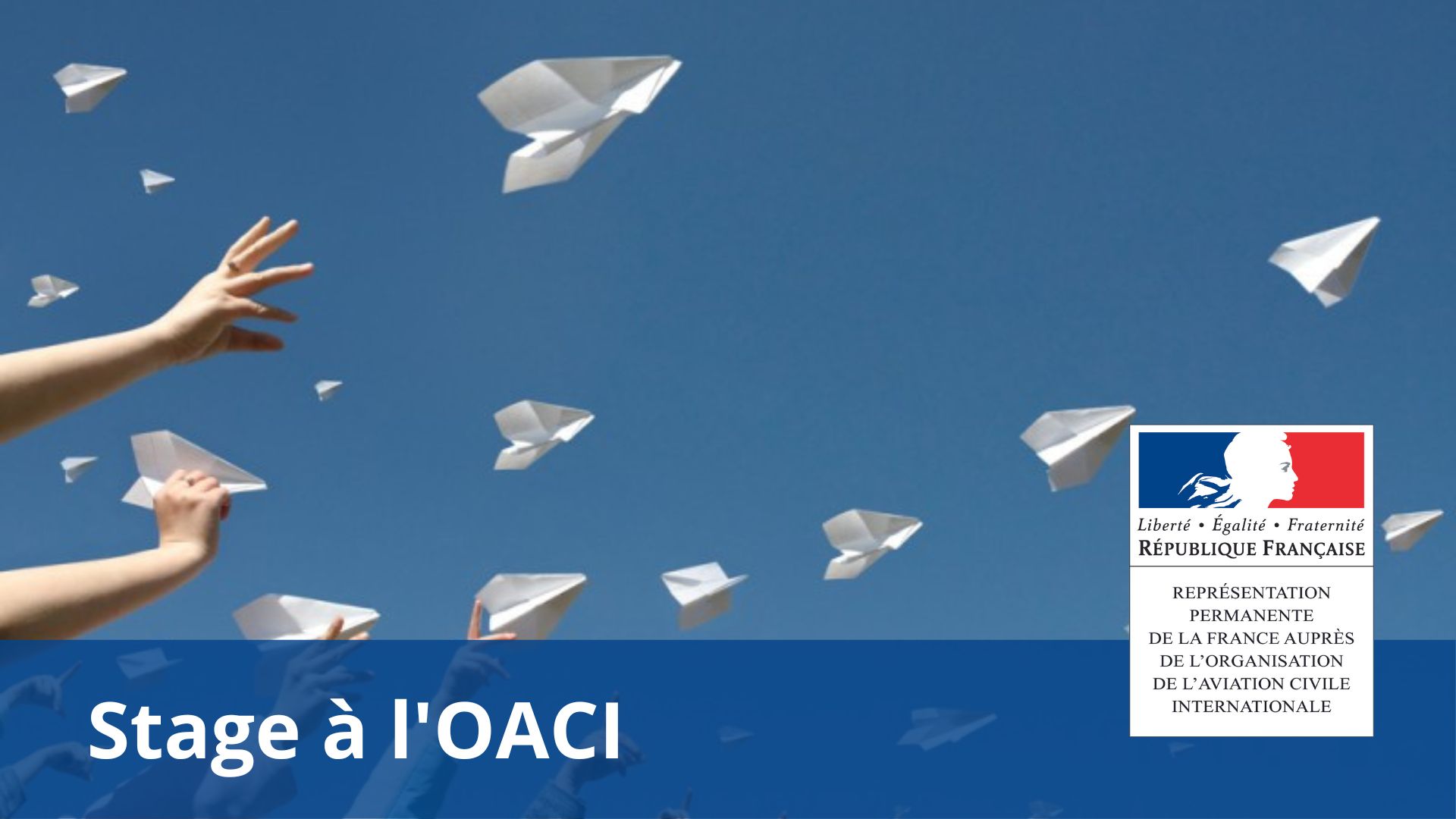 AU SUJET DE L OACI visual data 3