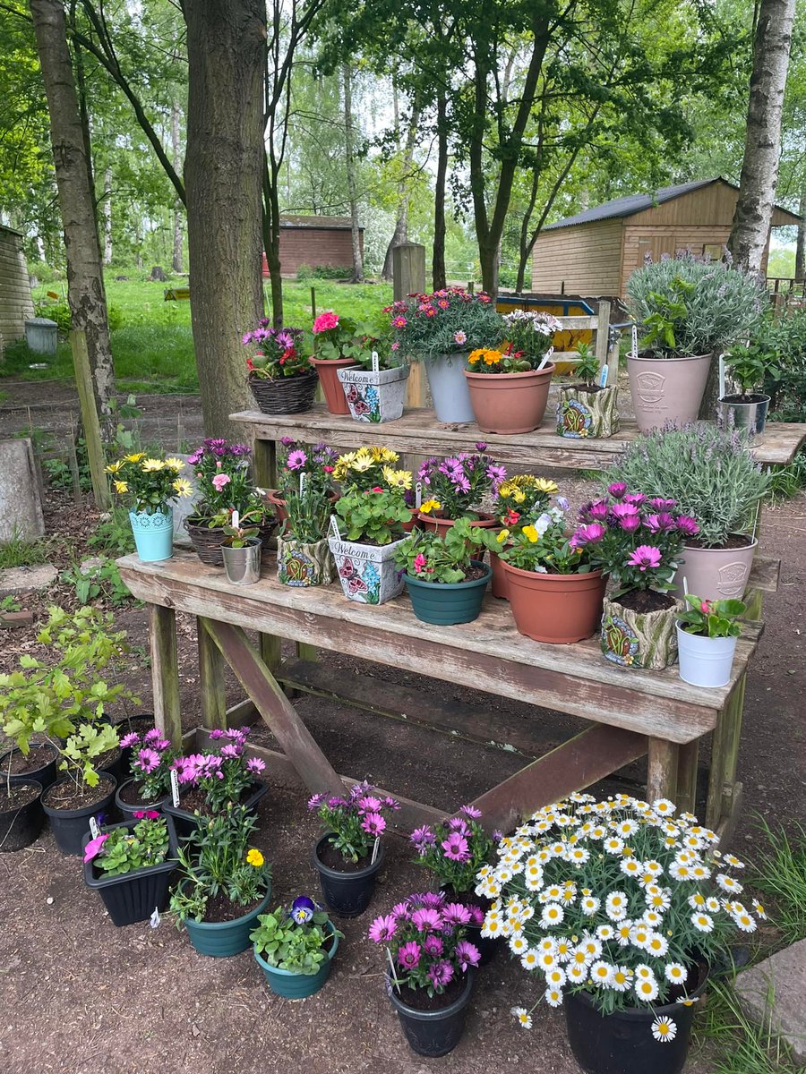 Petty Pool College tweet media