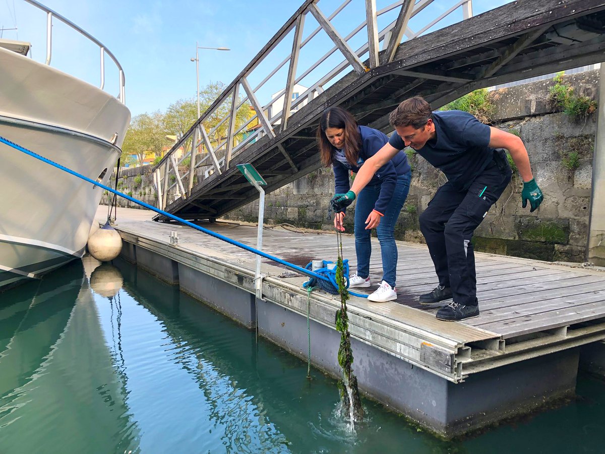 portplaisanceLR's tweet image. De la biodiversité du #port exposée à l’aquarium ! 😍 Après 10 mois de submersion et de colonisation de la #faune et de la #flore, 5 pieux installés dans le #VieuxPort viennent d’être placés à l'@aqualarochelle ! 

🤿👌 En savoir plus : bit.ly/3MWfssY