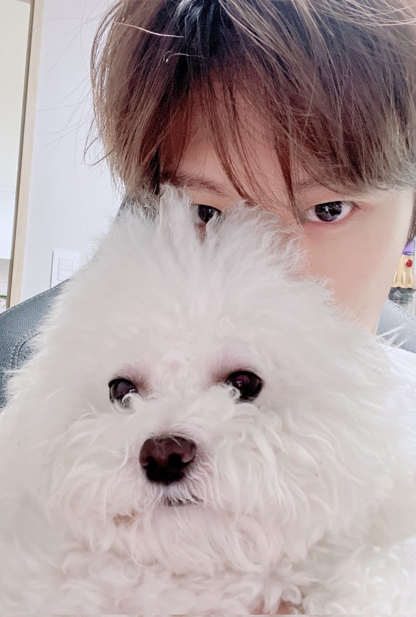 wooseoksnia's tweet photo. 220506 Wooseok 💭 Updates

: Is Ppoppo's head bigger than mine..? https://t.co/gPFEhL1G80