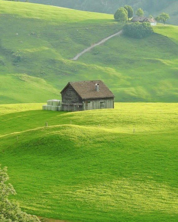 doaplus's tweet image. 