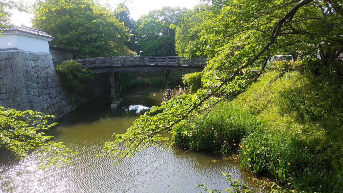 taisorakuya's tweet photo. 滋賀県民でありながら、旧城勢の1人である水口城を訪れていなかったので何とか寄ってみました。
やはり、碧水城の別名があるだけあって、水堀の景色が綺麗ですね。
因みに橋が老朽化していたようで遠回りを強いられました。 https://t.co/IJQSsxkfX1